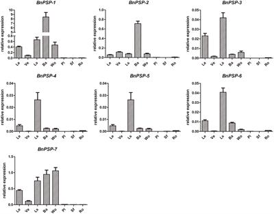 Promoter PPSP1–5-BnPSP-1 From Ramie (Boehmeria nivea L. Gaud.) Can Drive Phloem-Specific <mark class="highlighted">GUS Expression</mark> in Arabidopsis thaliana